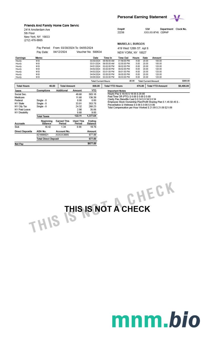 Home Care Servic personal earning statement template w formatach Word i PDF